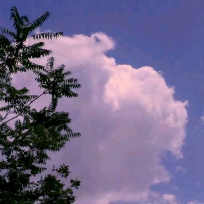 四时令正版下载